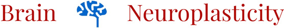 Brain & Neuroplasticity